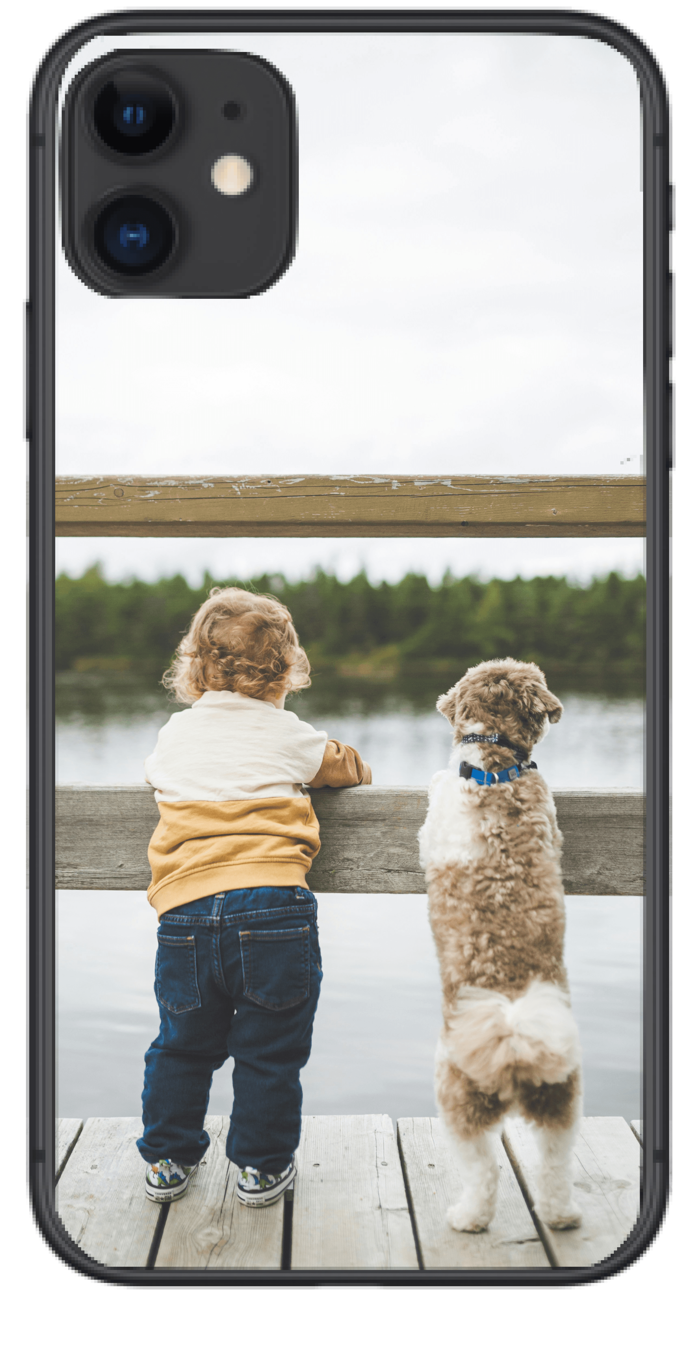 ペットのケース2