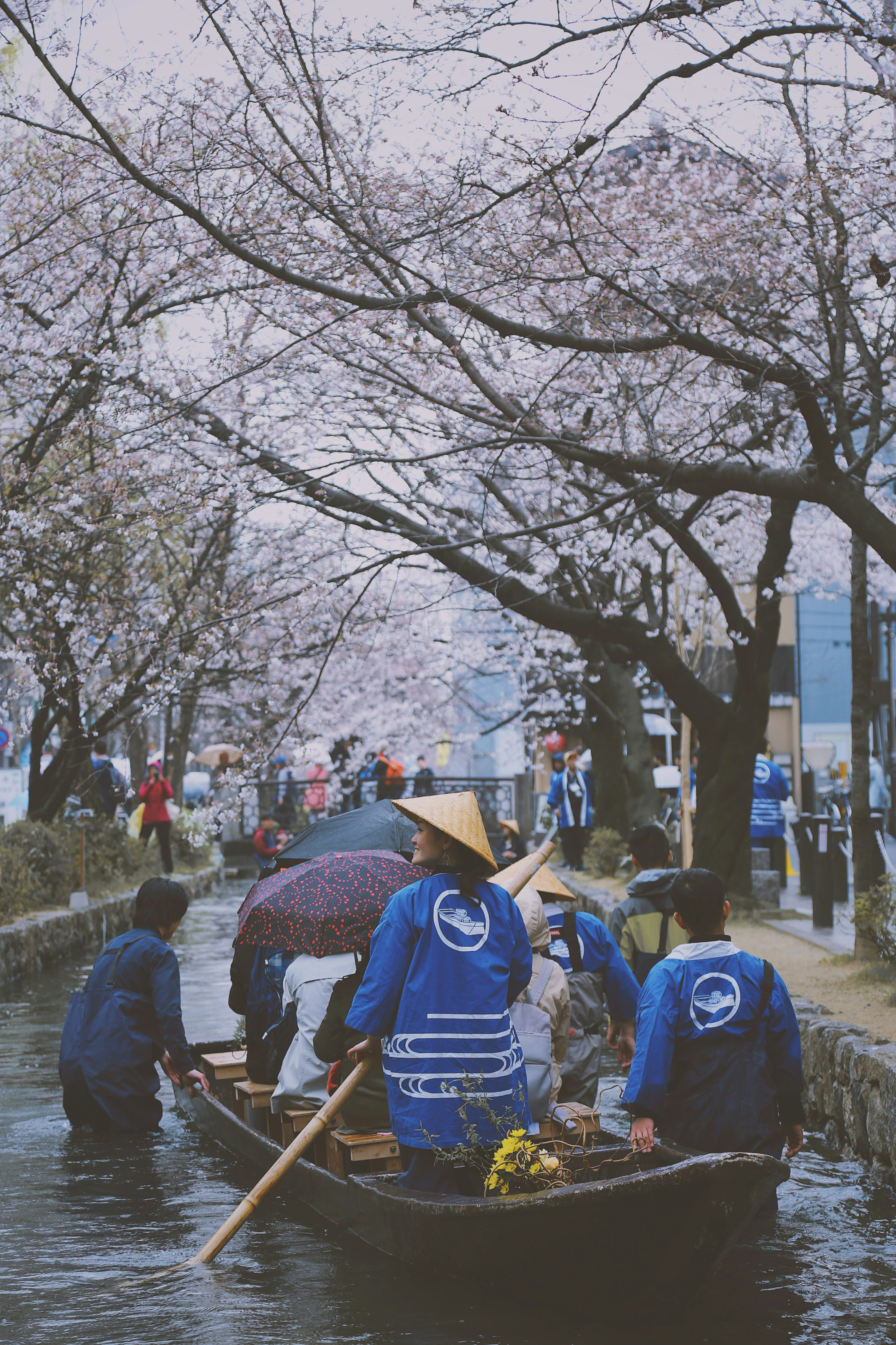 スライドショー画像